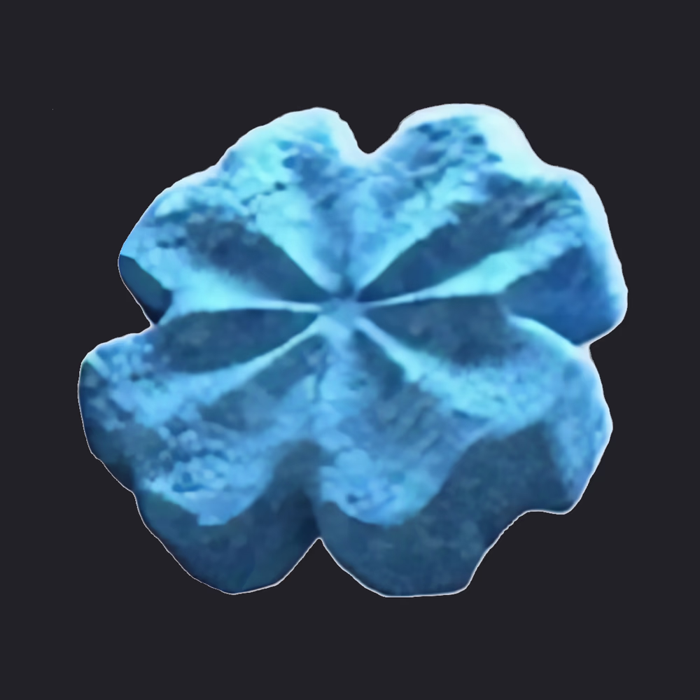 Blue Clover
